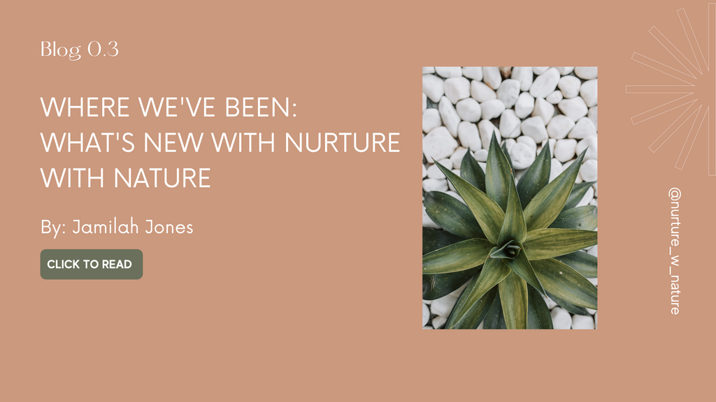 Where We've Been: What's New With Nurture with Nature