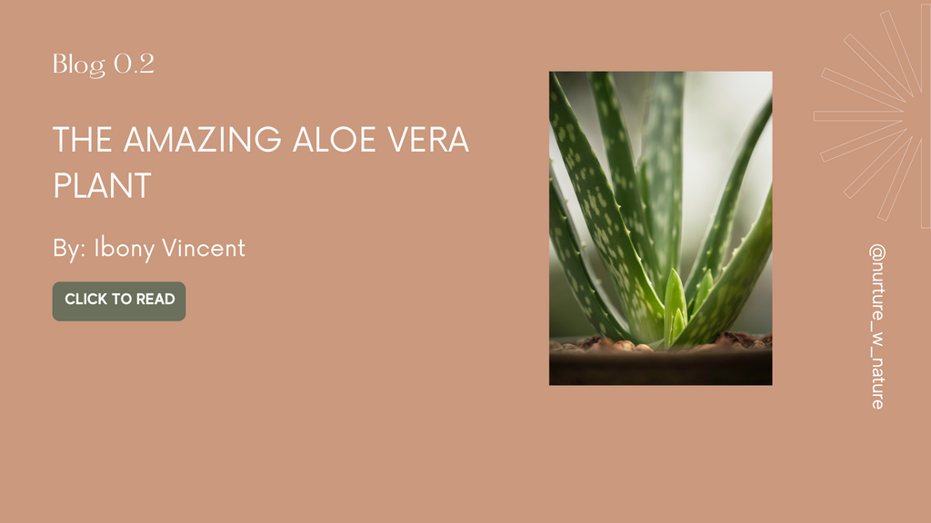 Sliced Aloe vera